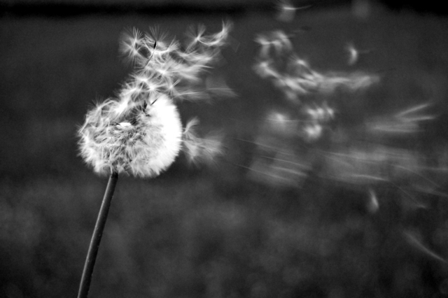 ⚡Presentazione Tecnologia Meccanica II Lavorazioni dei materiali&nbsp;polimerici.